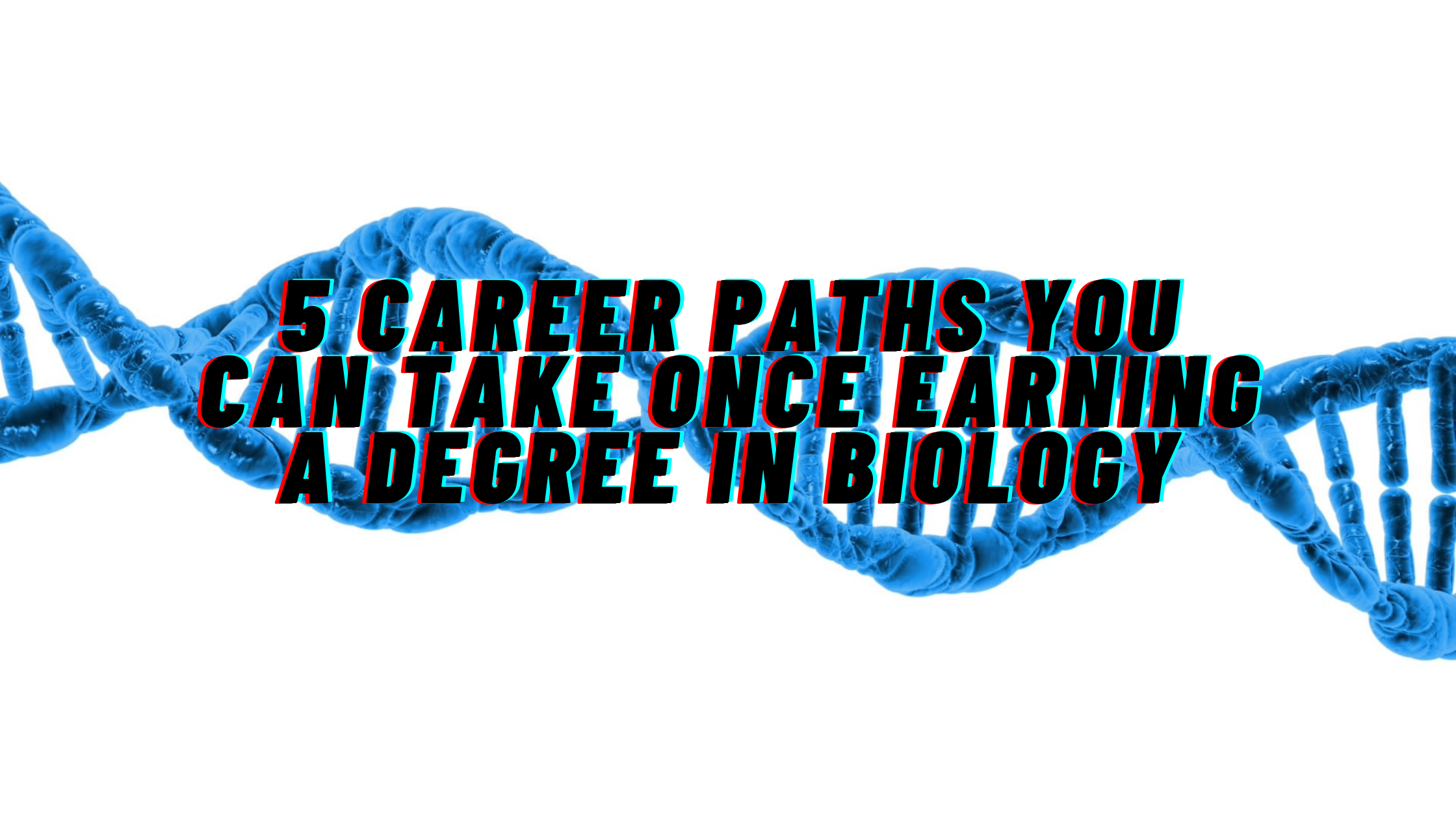 Picture of 5 Popular Career Paths for Biology Grads  